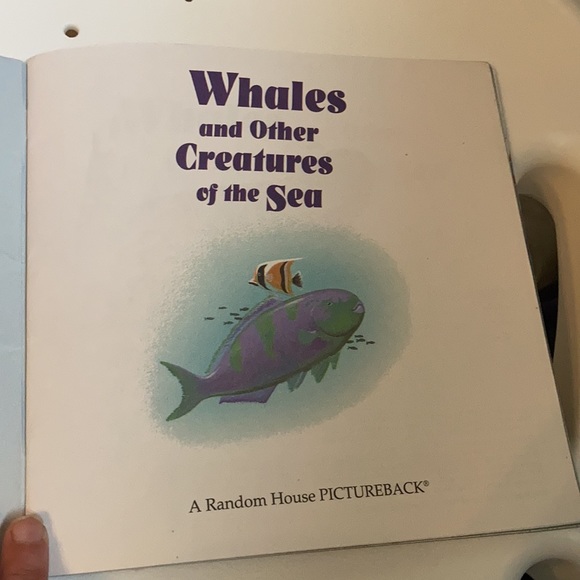 “Whales and Other Creatures of the Sea” kids book - Picture 13 of 16